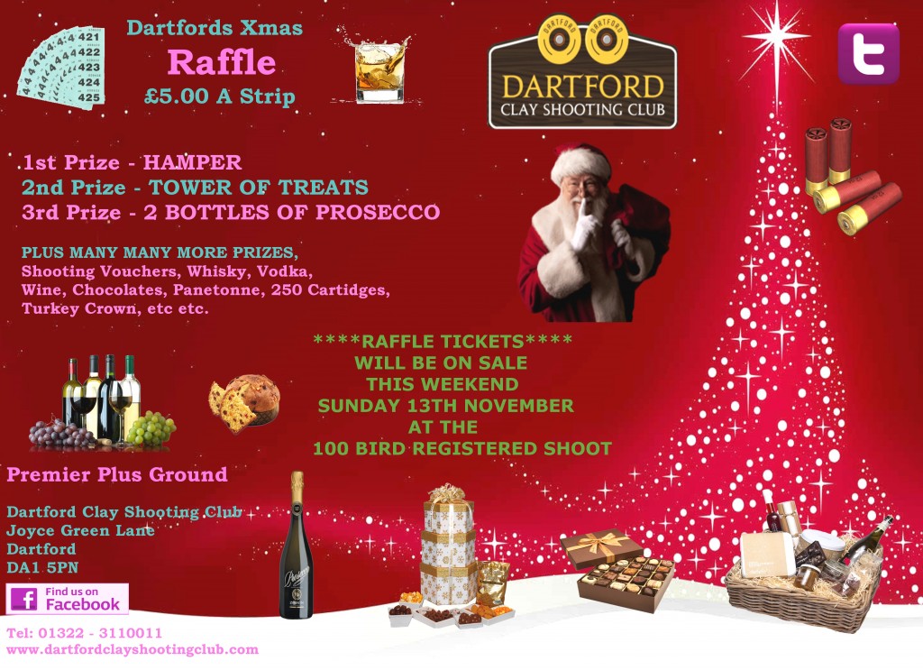 xmas raffle dartfor