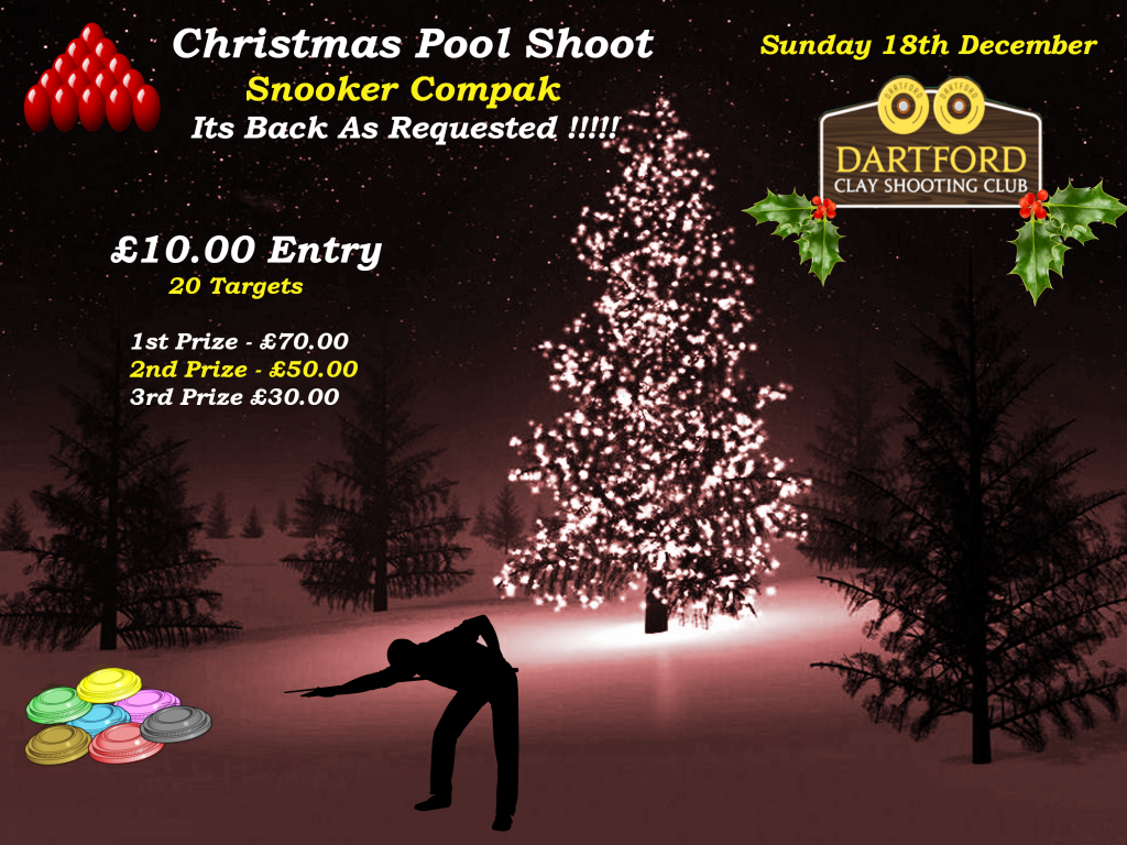 xmas-pool-shoot-2016